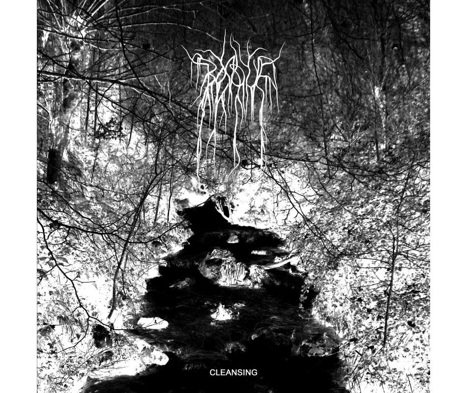 Bosque - Cleansing + Poster, Ltd. 100 (Por), LP Dunkelheit Produkti...