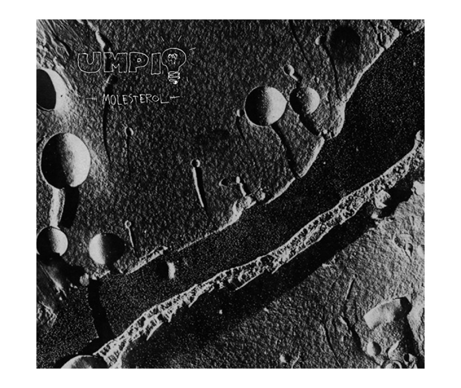 Umpio - Molesterol (Fin), Digipack CD Freak Animal Records