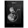 Womb11 - (-) + Poster, Black Edition, LP Dunkelheit Produktionen