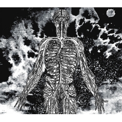 Absolute Key/Haare - Undercurrents (Fin), Digipack CD Disclosures