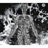 Absolute Key/Haare - Undercurrents (Fin), Digipack CD Disclosures