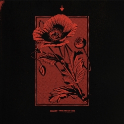 Kollaps - Until The Day I Die (Aus), Digipack CD Cold Spring