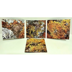 Z'Ev & Julien Ottavi - Crash & Cross (USA/Fra), Digipack CD 4ib Rec...