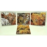 Z'Ev & Julien Ottavi - Crash & Cross (USA/Fra), Digipack CD 4ib Rec...