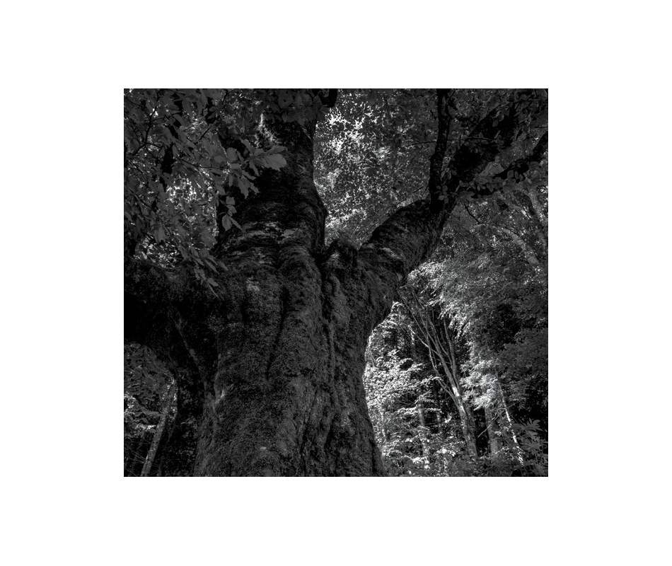 Gianluca Becuzzi - Axis Mundi (Ita), Digipack 2CD St.An.Da.