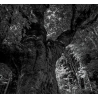 Gianluca Becuzzi - Axis Mundi (Ita), Digipack 2CD St.An.Da.