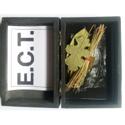 Signatus/Soma/H.C.N./Sangvis Svb Solem - Split (Spa), Tape Box E.C.T.