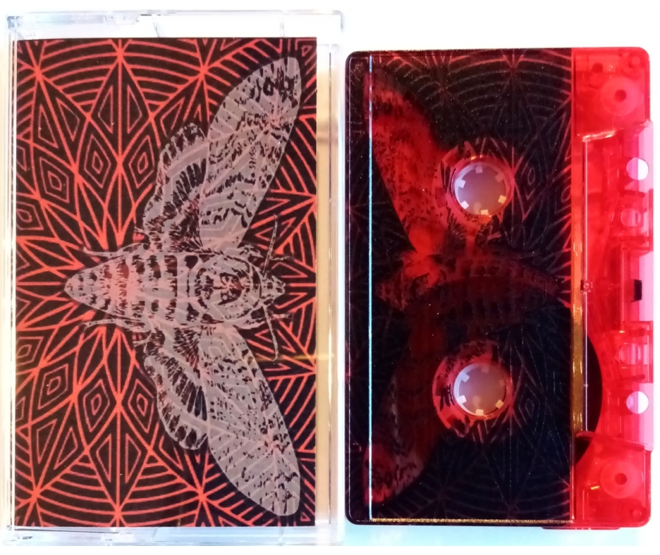 Circuitrip/ Tube Tentacles - Split (Spa), Tape New Approach Records