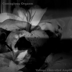 Contagious Orgasm - Voltage Controlled Amplifier, 1989/1990 (Jap), ...