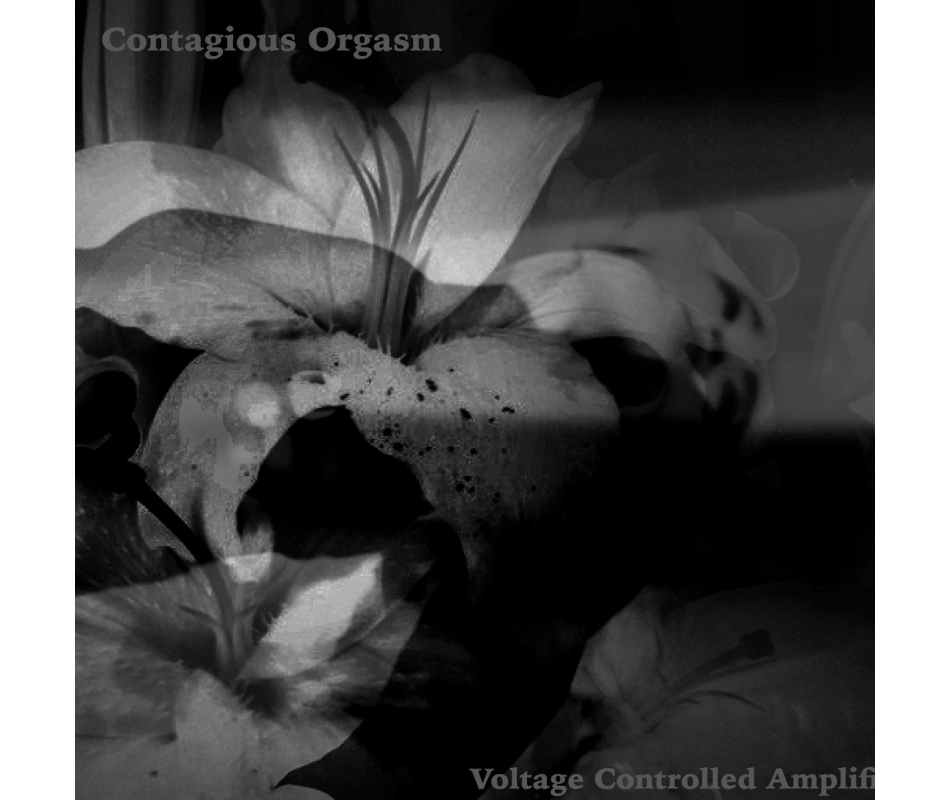 Contagious Orgasm - Voltage Controlled Amplifier, 1989/1990 (Jap), ...