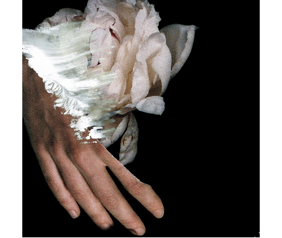 Yasuhito Fujinami - Lotus (Jap), CD SSSM