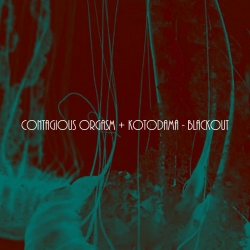 Contagious Orgasm/Kotodama - Blackout (Jap), CD SSSM