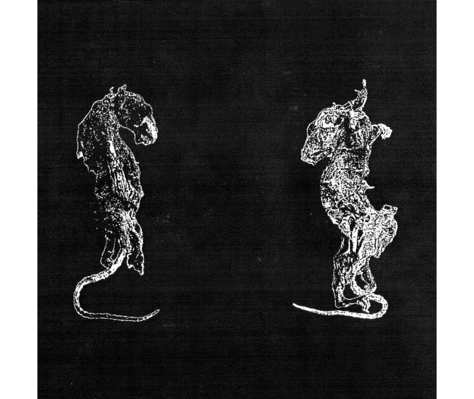 Bälzemäd - Verschleiß Durch Abrieb, Ltd. 99 (Handnumbered) (Ger), D...