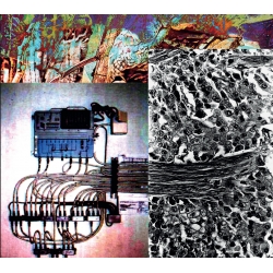 Umpio - Sin Memoria (Fin), CD Scream & Writhe