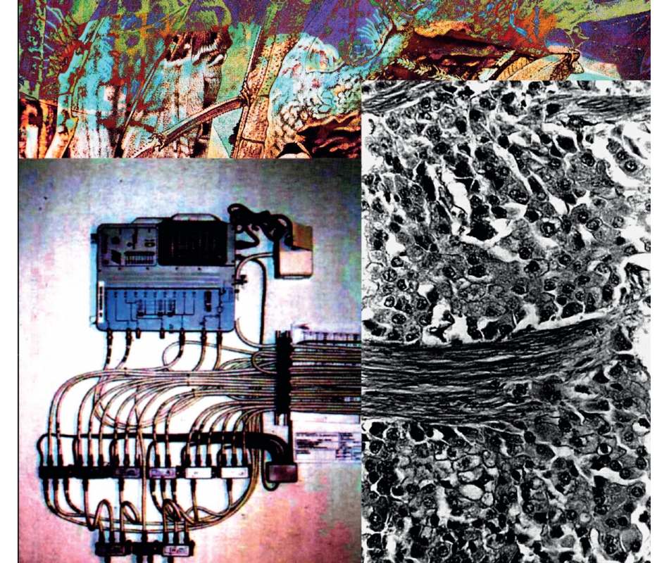 Umpio - Sin Memoria (Fin), CD Scream & Writhe