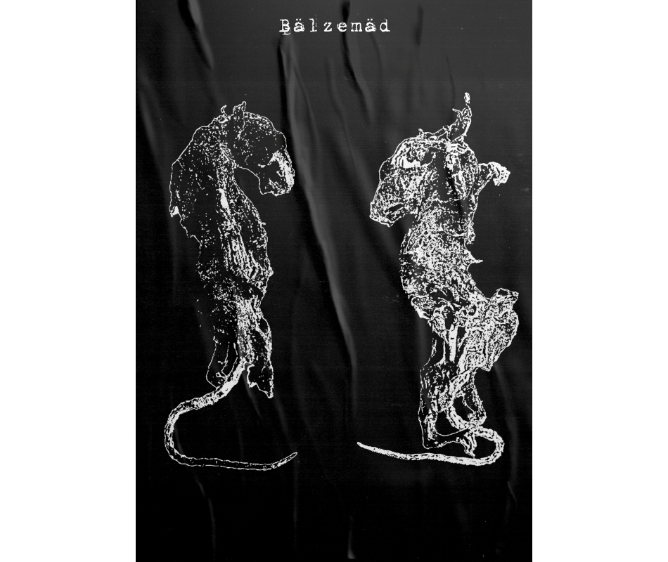 Bälzemäd - Harsh Noise, Poster Dunkelheit Produktionen