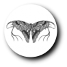 Funeral Moth (Jap)