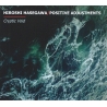 Hiroshi Hasagawa/Positive Adjustments - Cryptic Void (Jap), CD 4ib ...