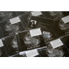 RXAXPXE - Death Trance (Ger), CD Dunkelheit Produktionen